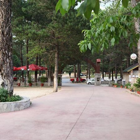 Hamiti Camping Center Dukat Extérieur photo