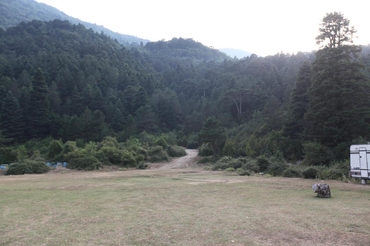 Hamiti Camping Center Dukat Extérieur photo