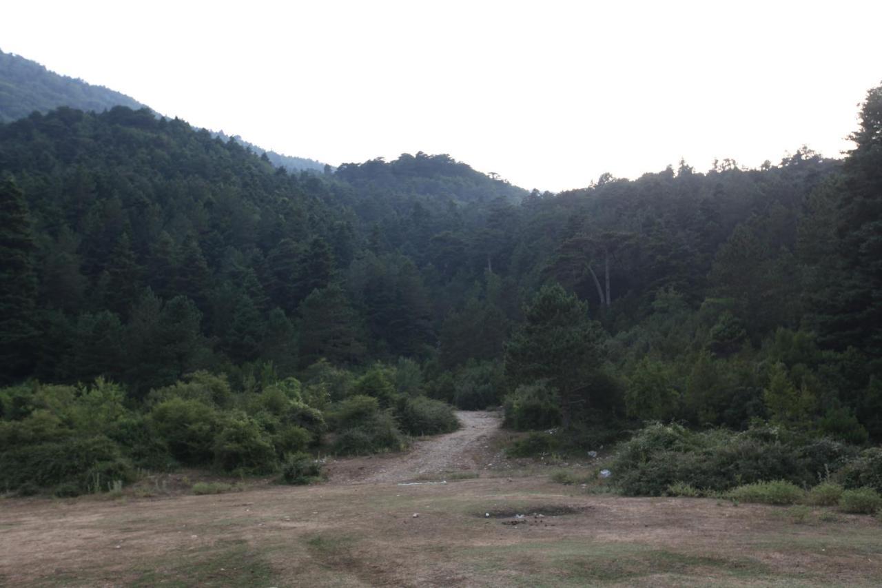 Hamiti Camping Center Dukat Extérieur photo