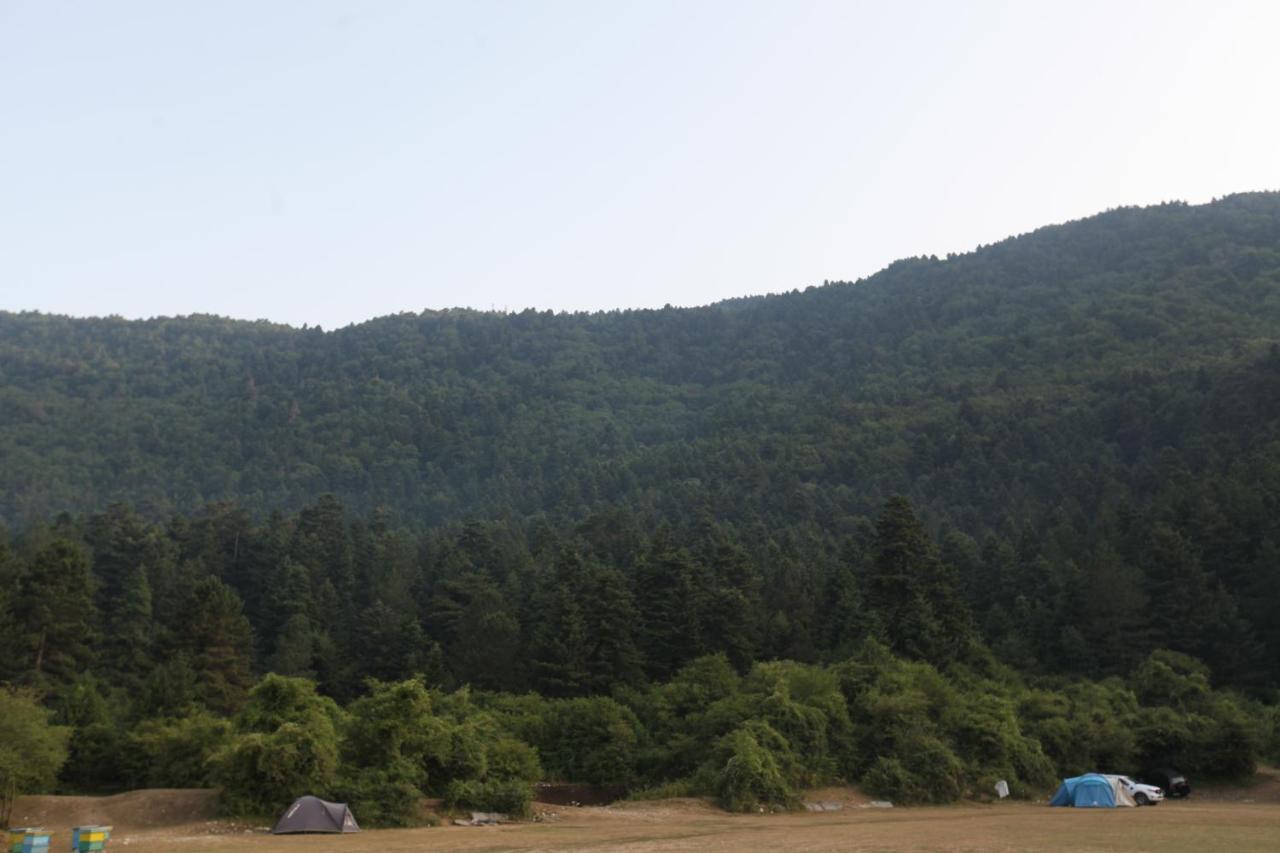 Hamiti Camping Center Dukat Extérieur photo
