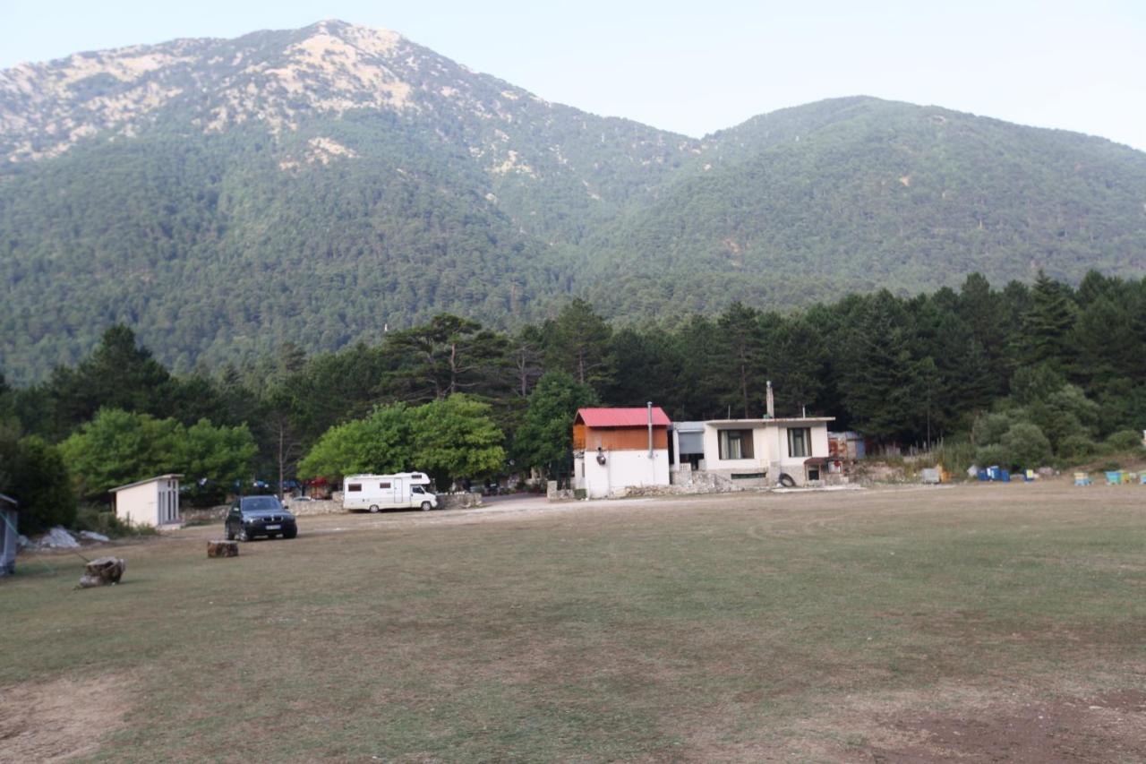 Hamiti Camping Center Dukat Extérieur photo