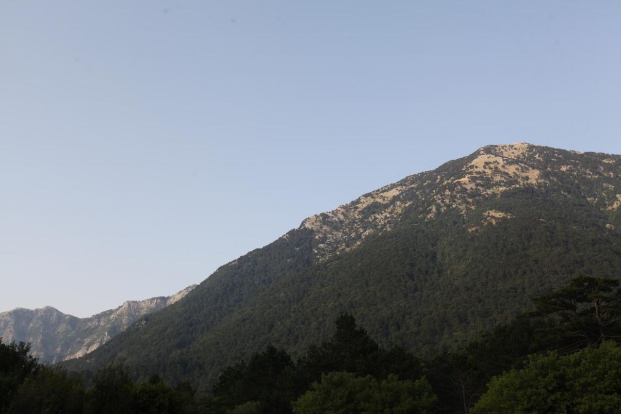 Hamiti Camping Center Dukat Extérieur photo