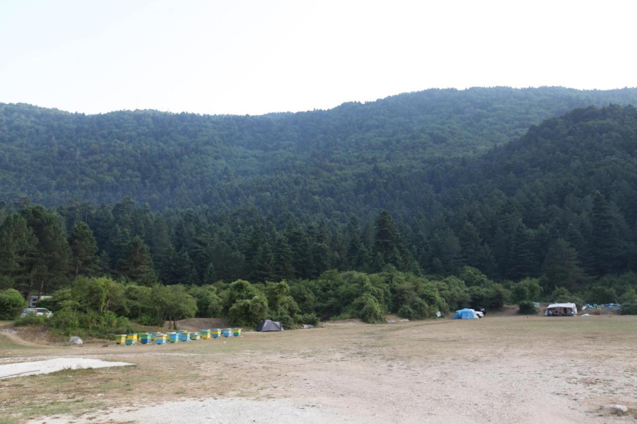 Hamiti Camping Center Dukat Extérieur photo