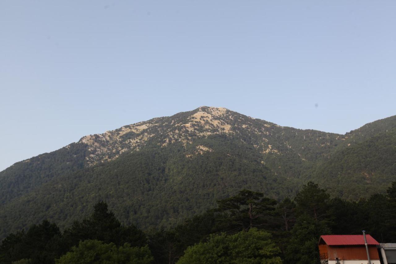 Hamiti Camping Center Dukat Extérieur photo