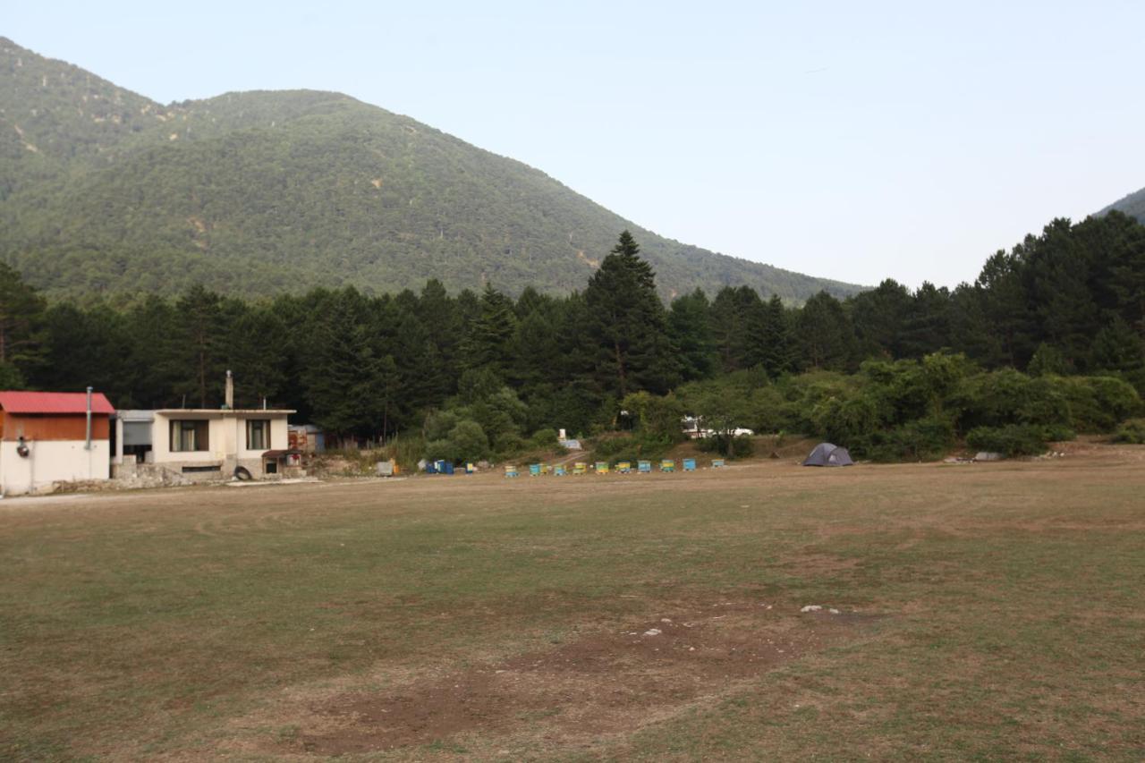 Hamiti Camping Center Dukat Extérieur photo